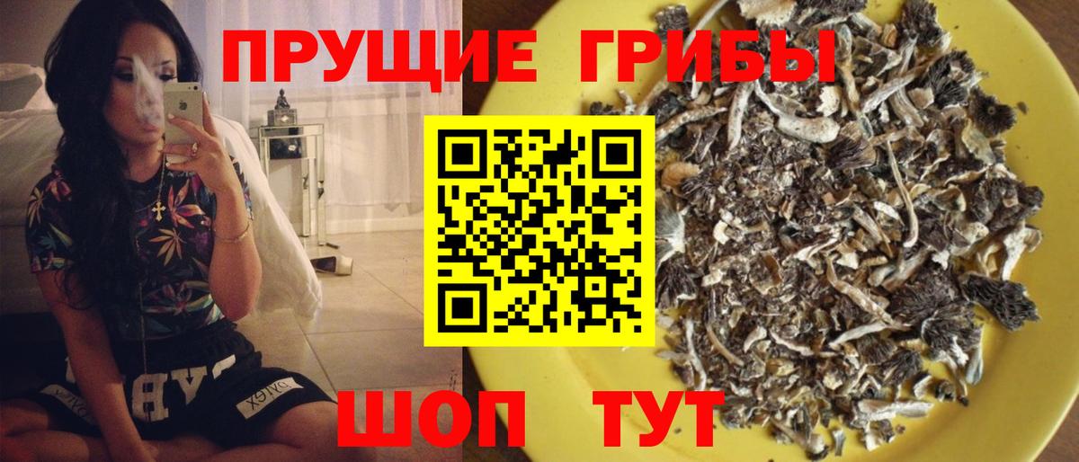 Галлюциногенные грибы GOLDEN TEACHER  Галлюциногенные грибы Magic Shrooms  Вход с VPN  Карпинск 